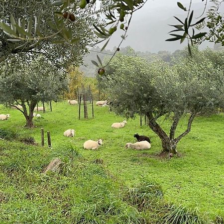 Quinta Da Moita Agroturismo Tabuaço Buitenkant foto