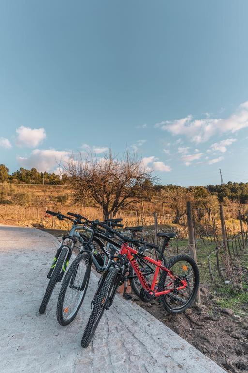 Quinta Da Moita Agroturismo Tabuaço Buitenkant foto